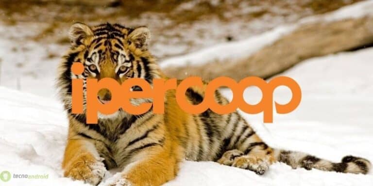 coop