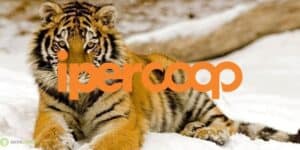 coop