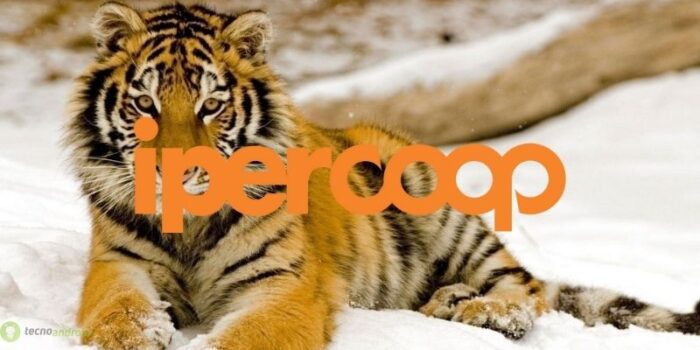 coop
