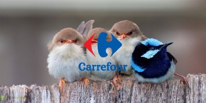 carrefour