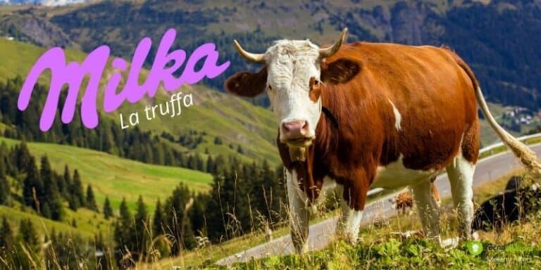 Truffa Whatsapp: in vista della Pasqua i criminali adescano le vittime col cioccolato