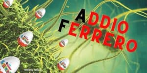 Kinder: spuntano nuovi prodotti contaminati dalla salmonella