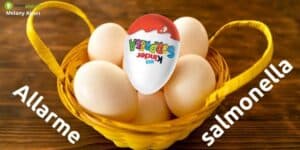 Kinder: non è ancora finita, la salmonella contagia nuovi tipi di cioccolato
