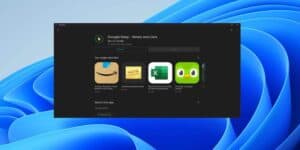 google-play-store-questo-script-puo-causare-problemi-utenti-windows-11
