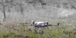 intelligenza artificiale
