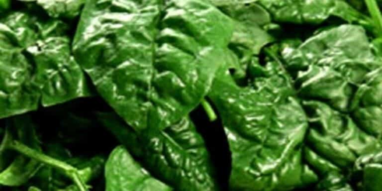 spinaci