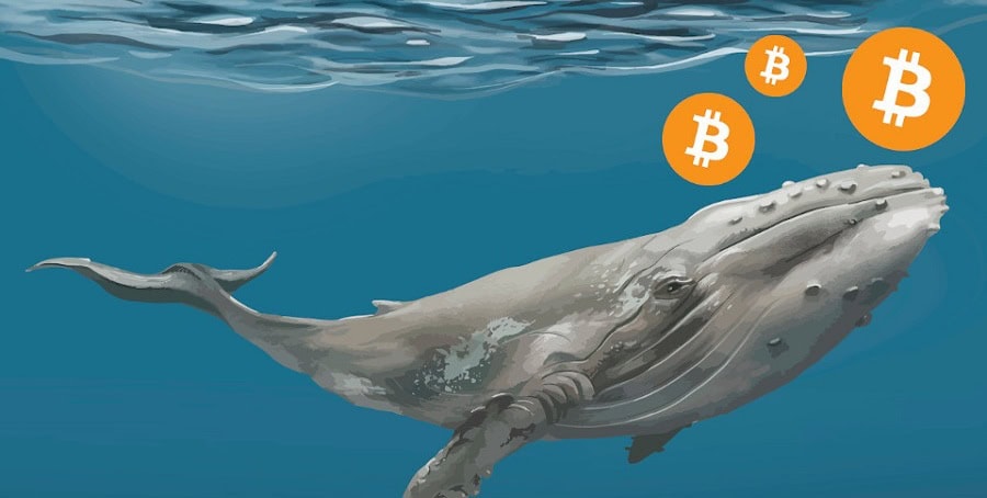 Bitcoin: Ecco come guadagnare 1 miliardo di dollari in 24 ore