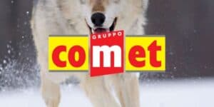 comet