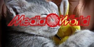 mediaworld