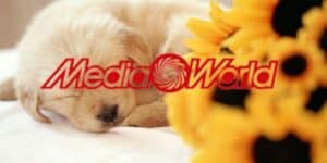 mediaworld