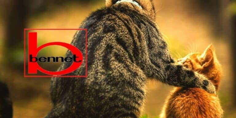 bennet
