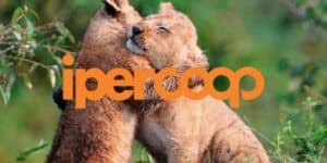 coop