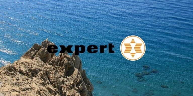 expert