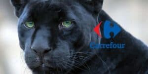 carrefour