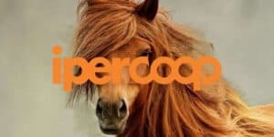 coop