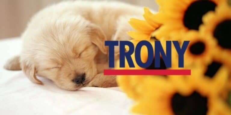 trony