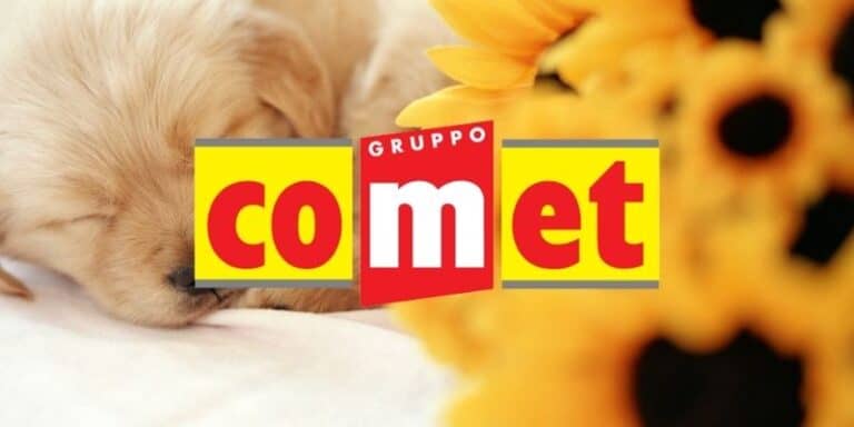 comet