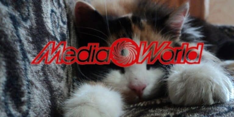mediaworld