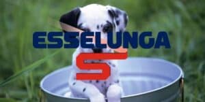 esselunga