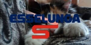 esselunga