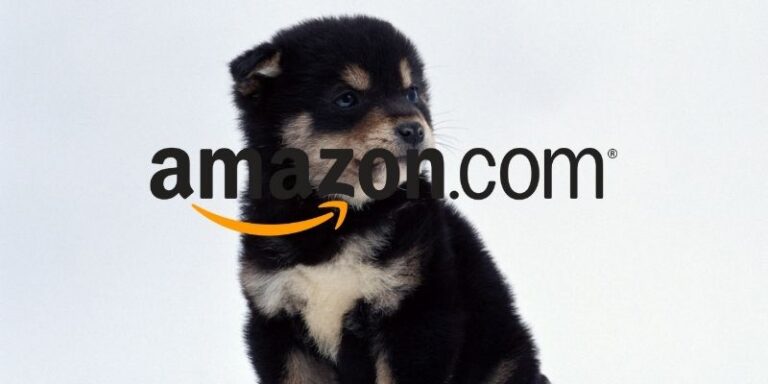 amazon