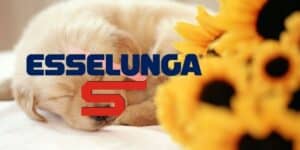 esselunga