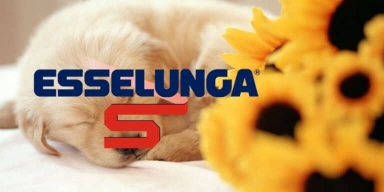 esselunga