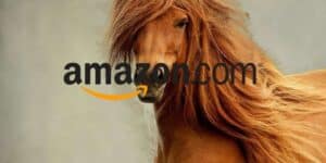 amazon