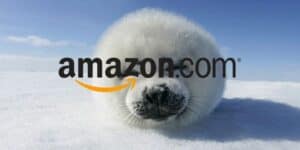 amazon