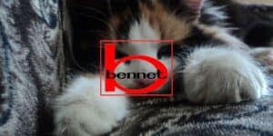 bennet