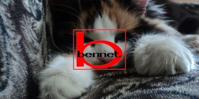 bennet