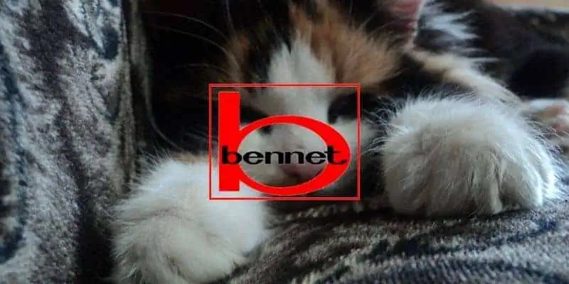 bennet