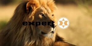 expert