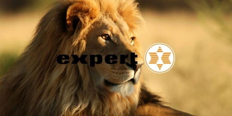 expert