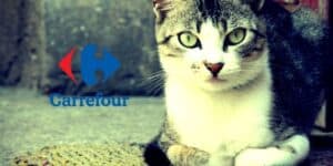 carrefour