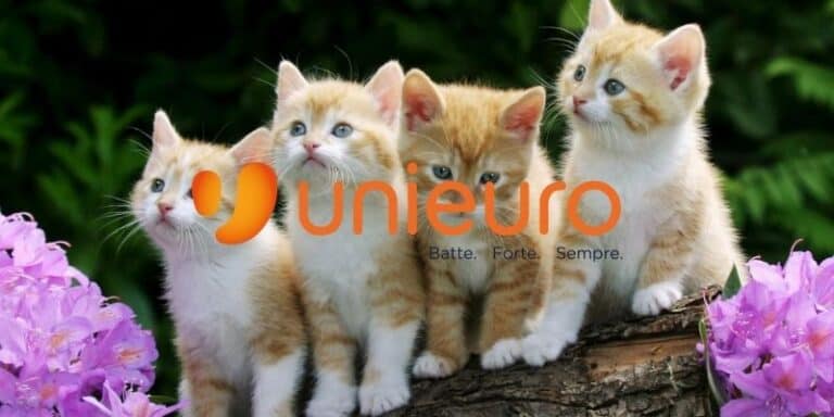unieuro