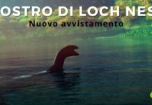 Mostro di Loch Ness: nuovo avvistamento, scoperta una grande notizia