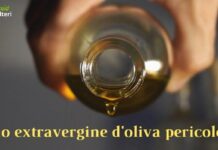 Olio extravergine d'oliva pericoloso, è l'inizio di un nuovo allarme!