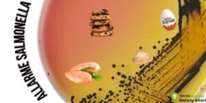 Salmonella: il rischio di intossicazione è altissimo con questi prodotti