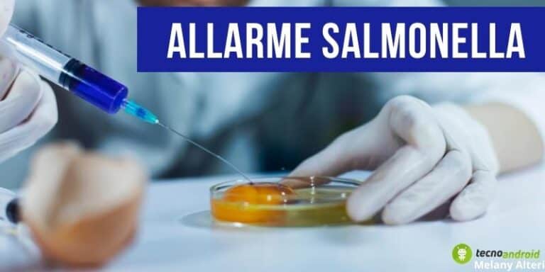 Salmonella: avete mangiato questi prodotti? Preparatevi al peggio!