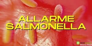 Salmonella: strage di prodotti, nell'elenco ne spuntano di nuovi