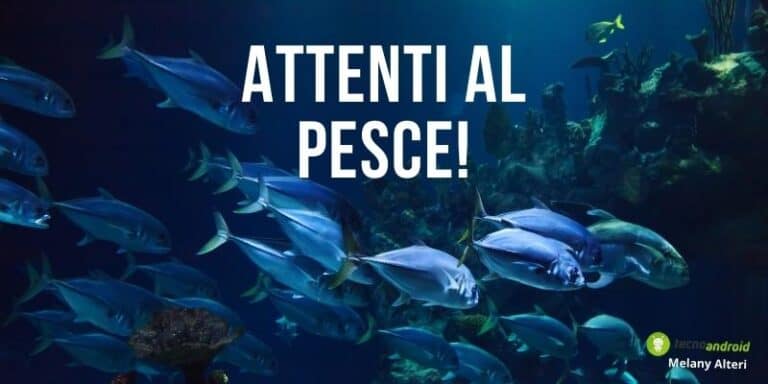 Prodotti ritirati: mare contaminato, evitate il menù pesce al ristorante!