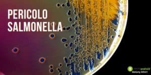 Salmonella: non si salverà nessuno, i nuovi prodotti coinvolti erano strepitosi