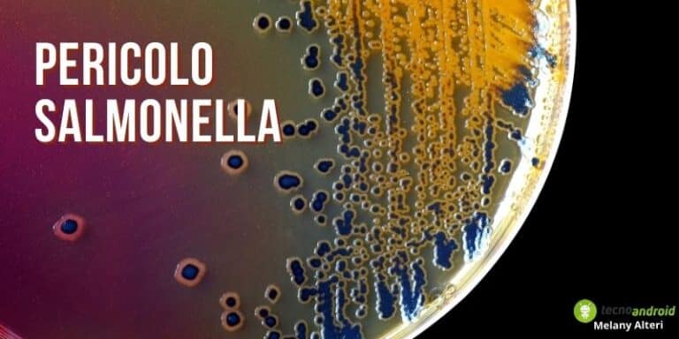 Salmonella: non si salverà nessuno, i nuovi prodotti coinvolti erano strepitosi