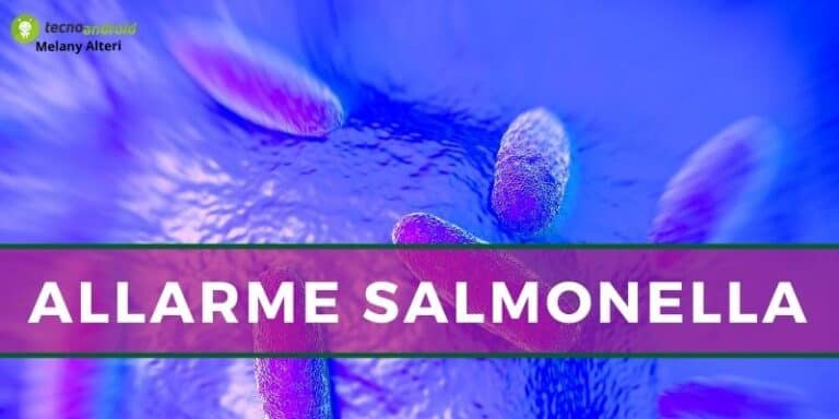 Salmonella: nuovo allarme, nella lista compaiono gli ennesimi alimenti infetti
