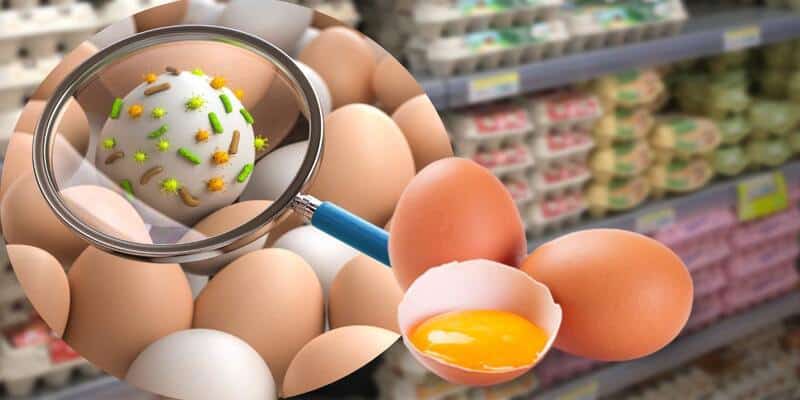 Non acquistare queste uova nel supermercato: potrebbero contenere batteri pericolosi