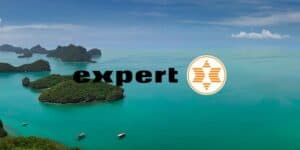 expert