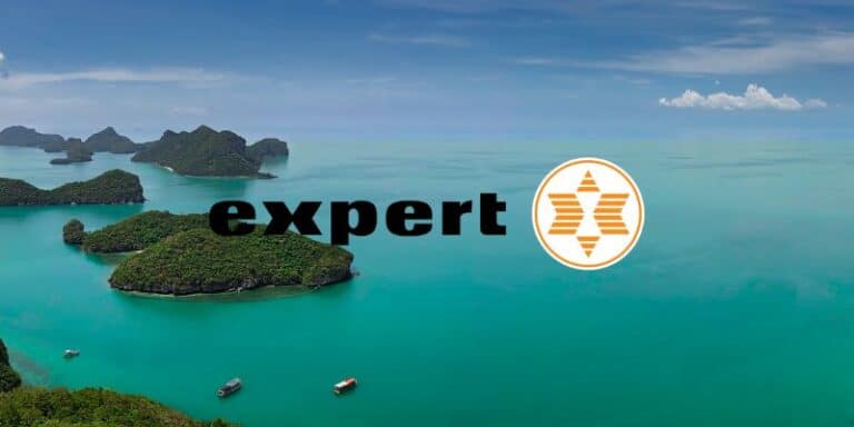 expert