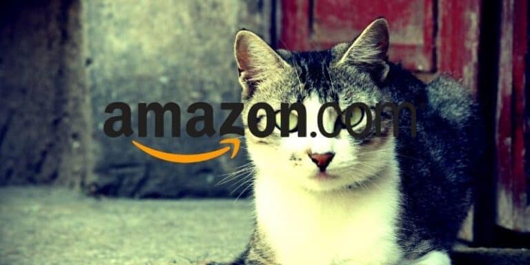 amazon