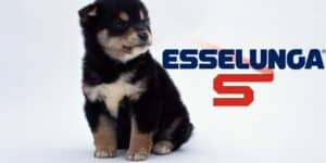 esselunga